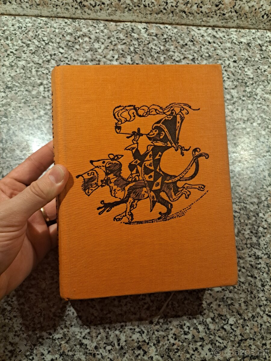 Bez domova - Hector Malot