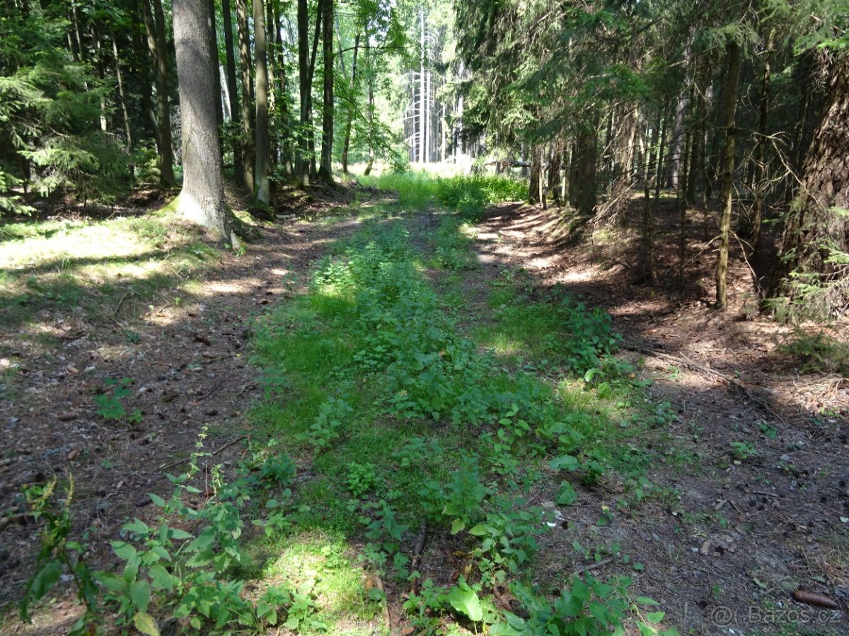 Oltyně 390/1