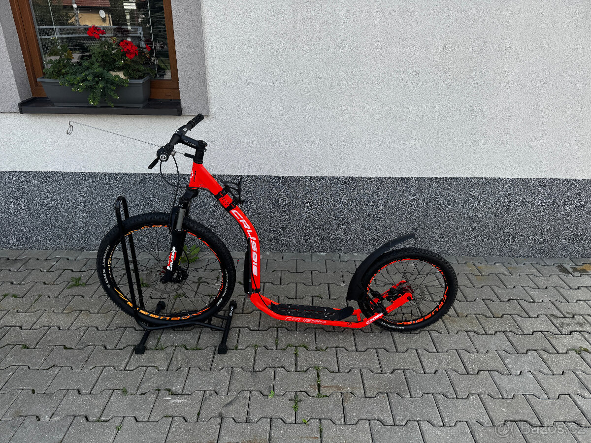 Crussis Cross 6.2