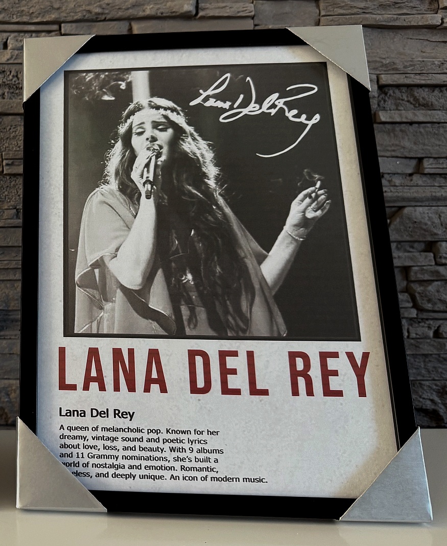 Lana Del Rey (nebo cokoliv jiného na přání)