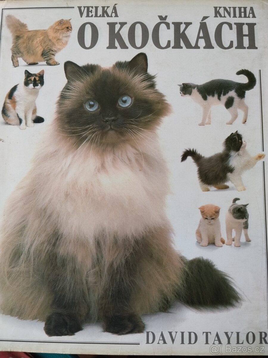 Velká kniha o kočkách