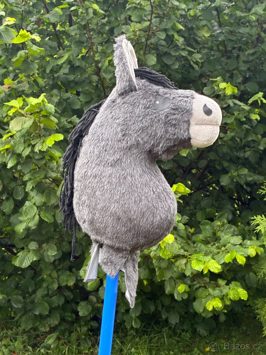 Hobby horse