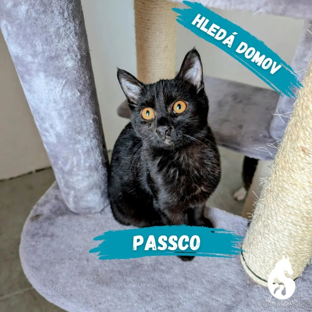 Passco