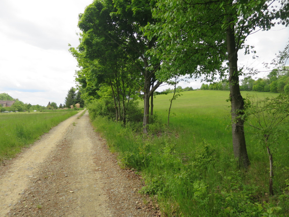 Božejovice, trvalý travní porost 3465 m2 prodám