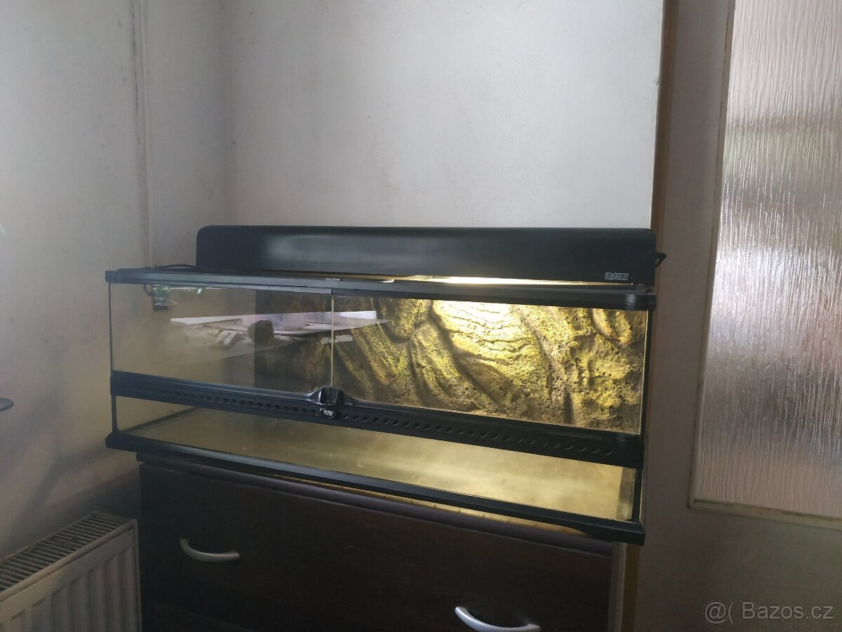 Terarium