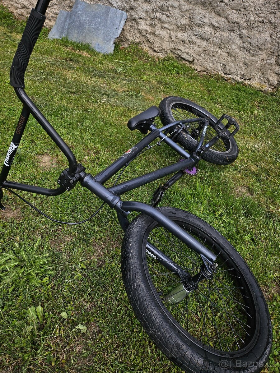 Bmx mongoose