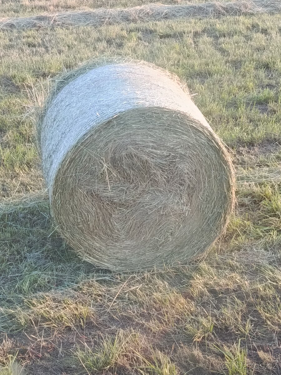 Balíky sena