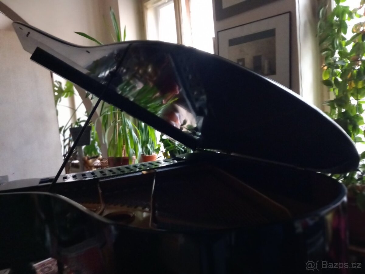 Koncertní křídlo Petrof