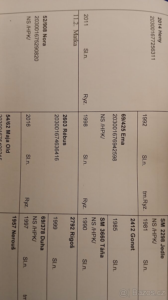 Prodám letošního hřebečka SN