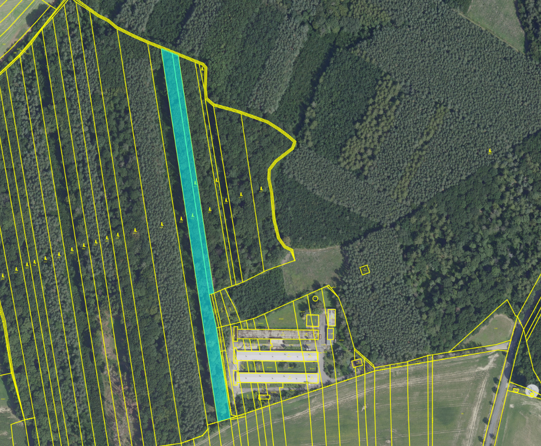 Prodej lesa, Městec Králové, 8906 m²