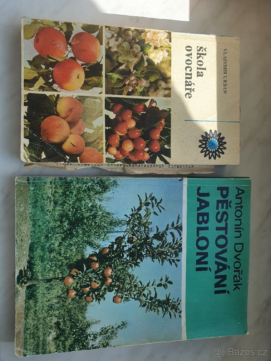 Skola ovocnare, pestovani jabloni