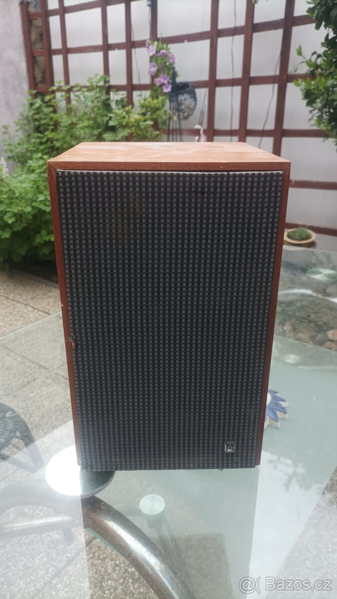 Repro Tesla