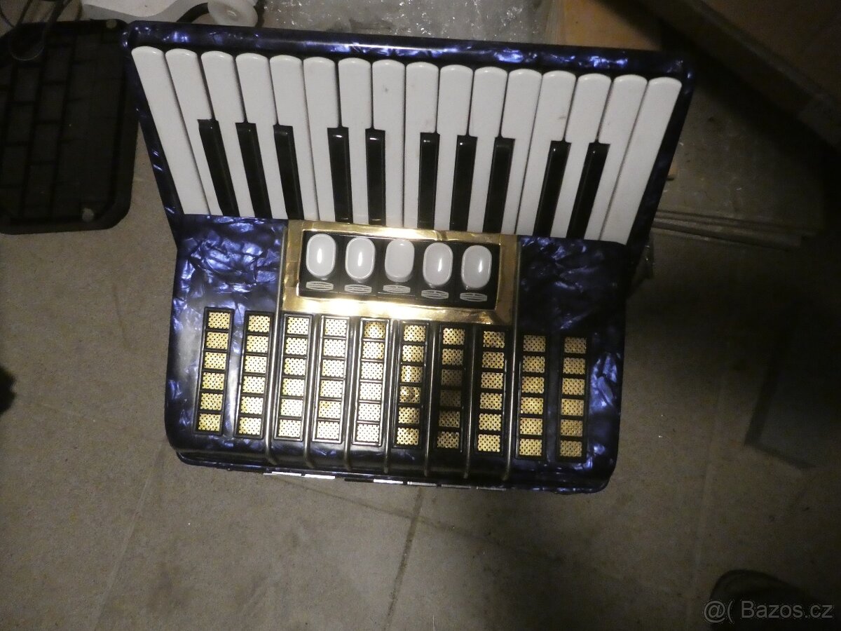 akordeon delicia junior 3