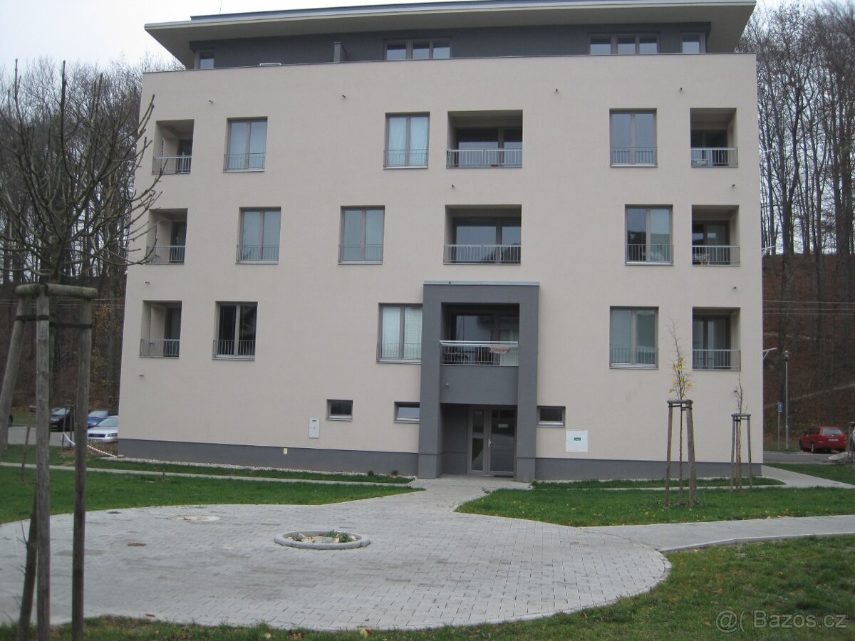 Pronájem bytu Kvasiny