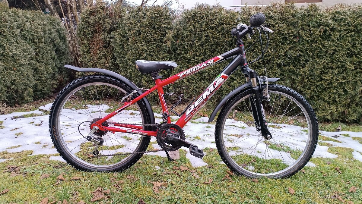 Dětské kolo Dema Pegas 24