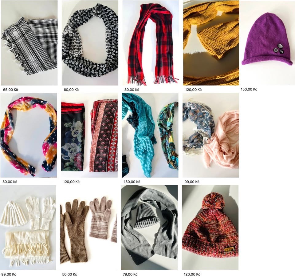 Dámské zimní doplňky