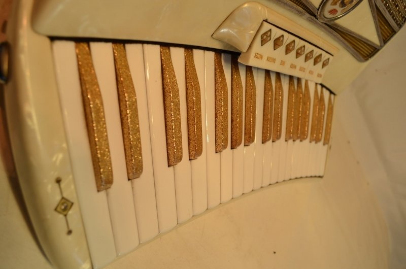 Gabanelli Show Accordion 96 Basses Red #392