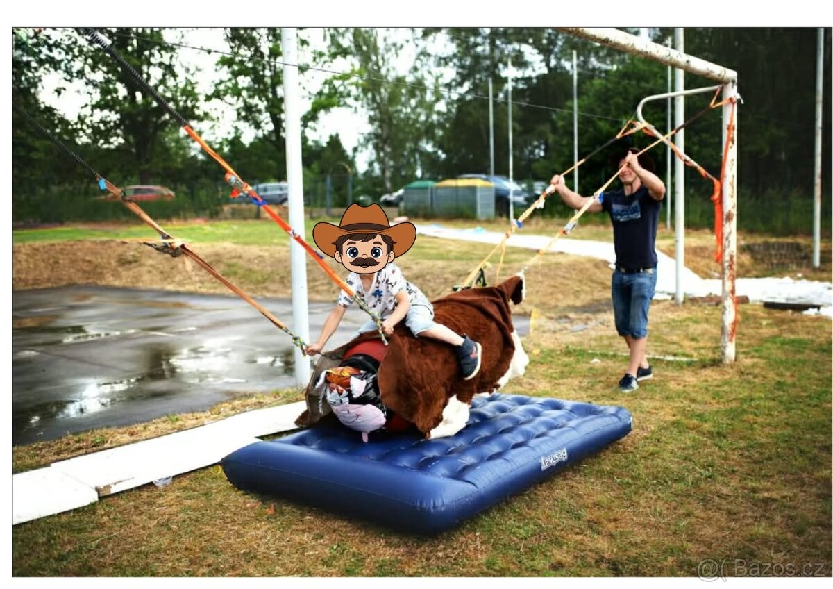 Rodeo býk