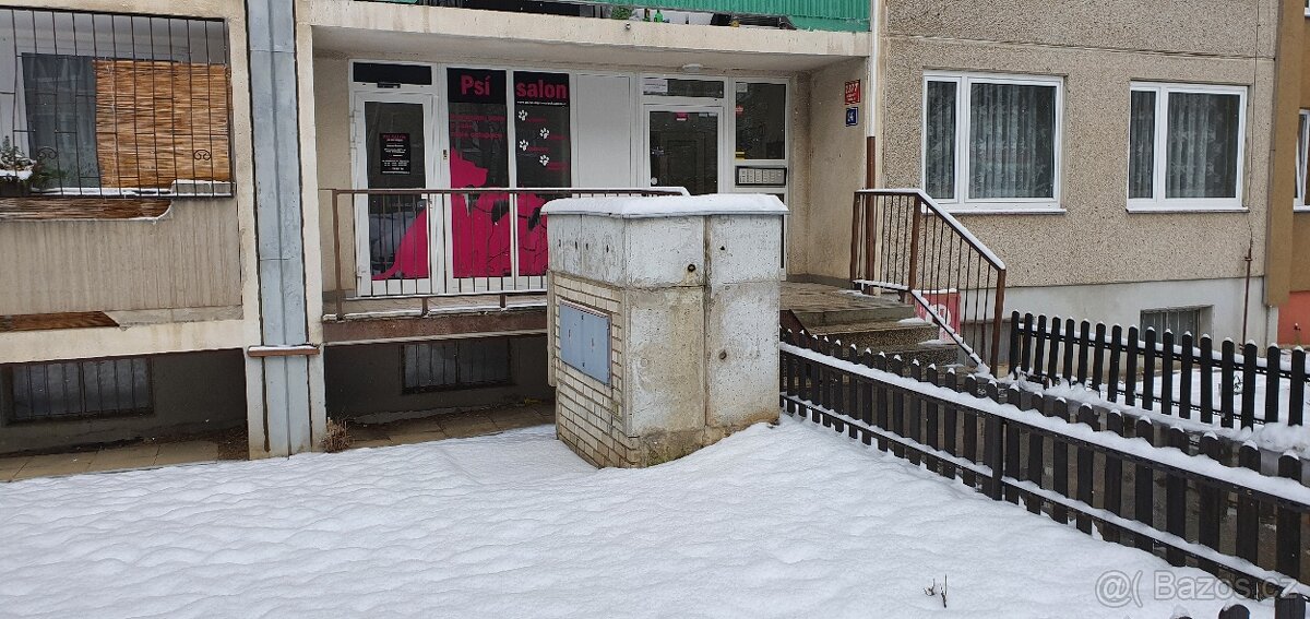 Pronajem nebytového prostoru 20m2