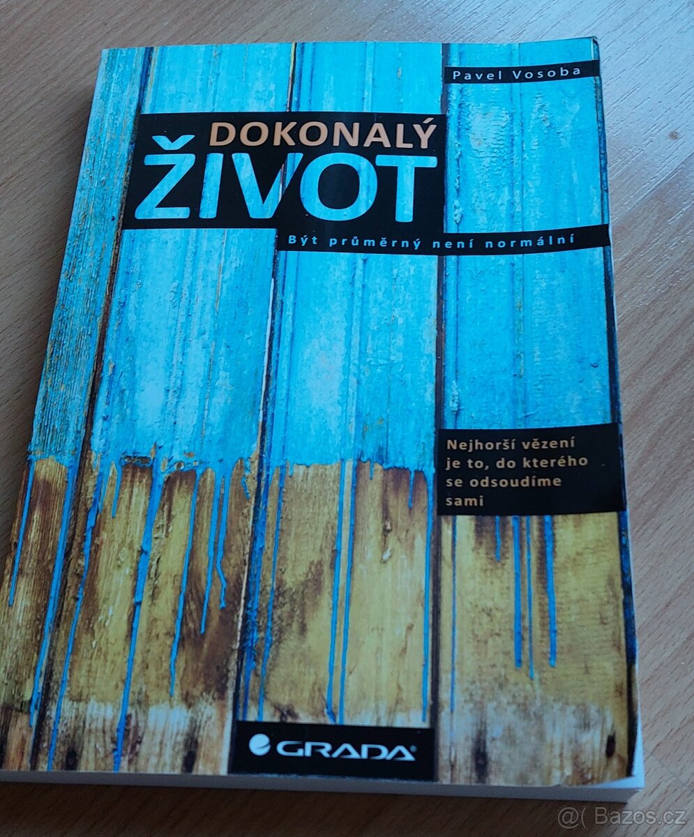 Kniha - Dokonalý život - Pavel Vosoba