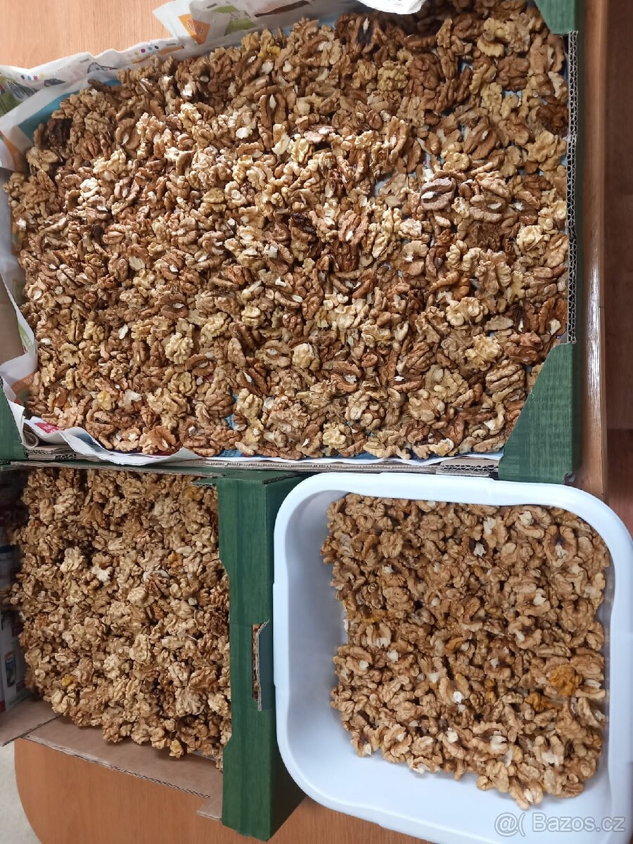 Vlašské ořechy