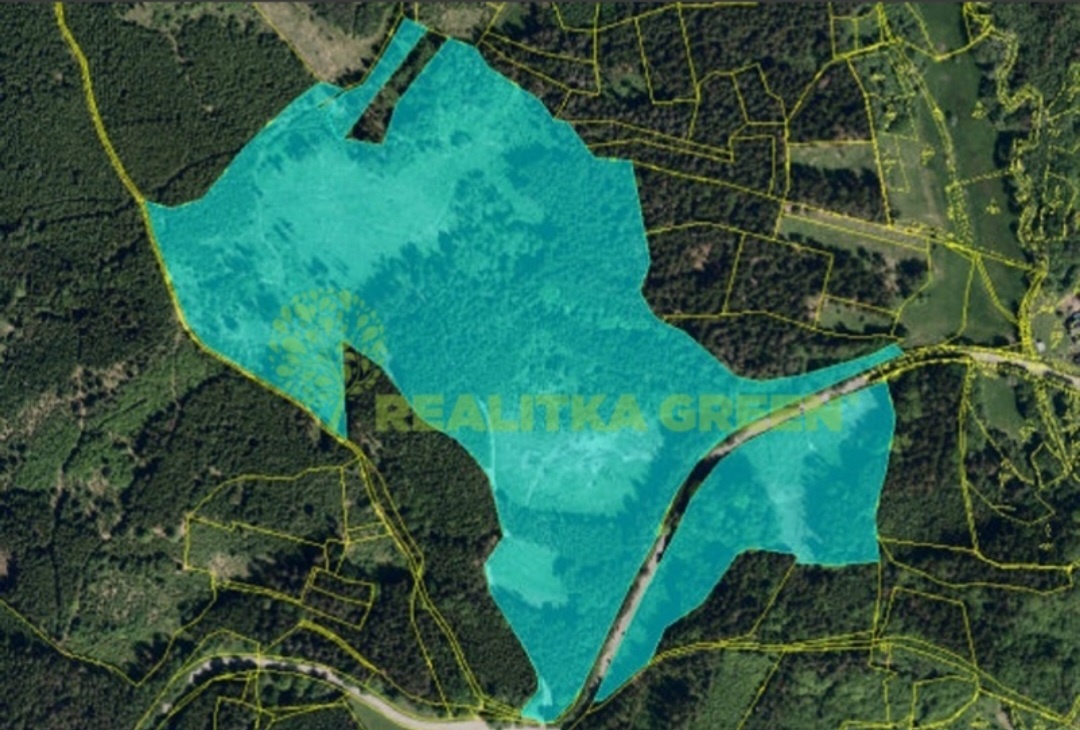 Lesní pozemky k.ú. Velíková, okr. Zlín, CP 179 312 m2