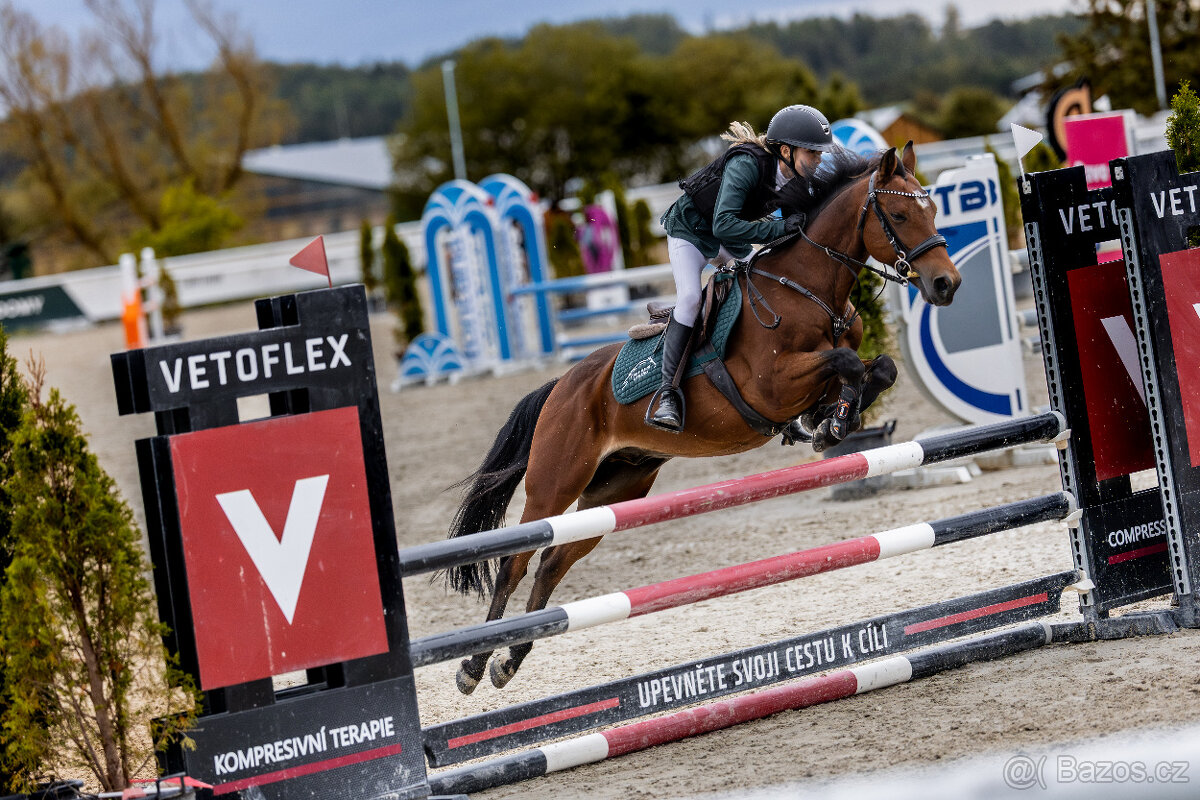 Sportovní pony kategorie B