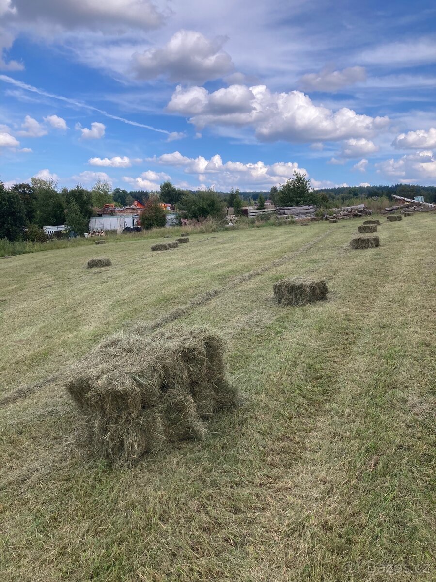 Seno malé balíky