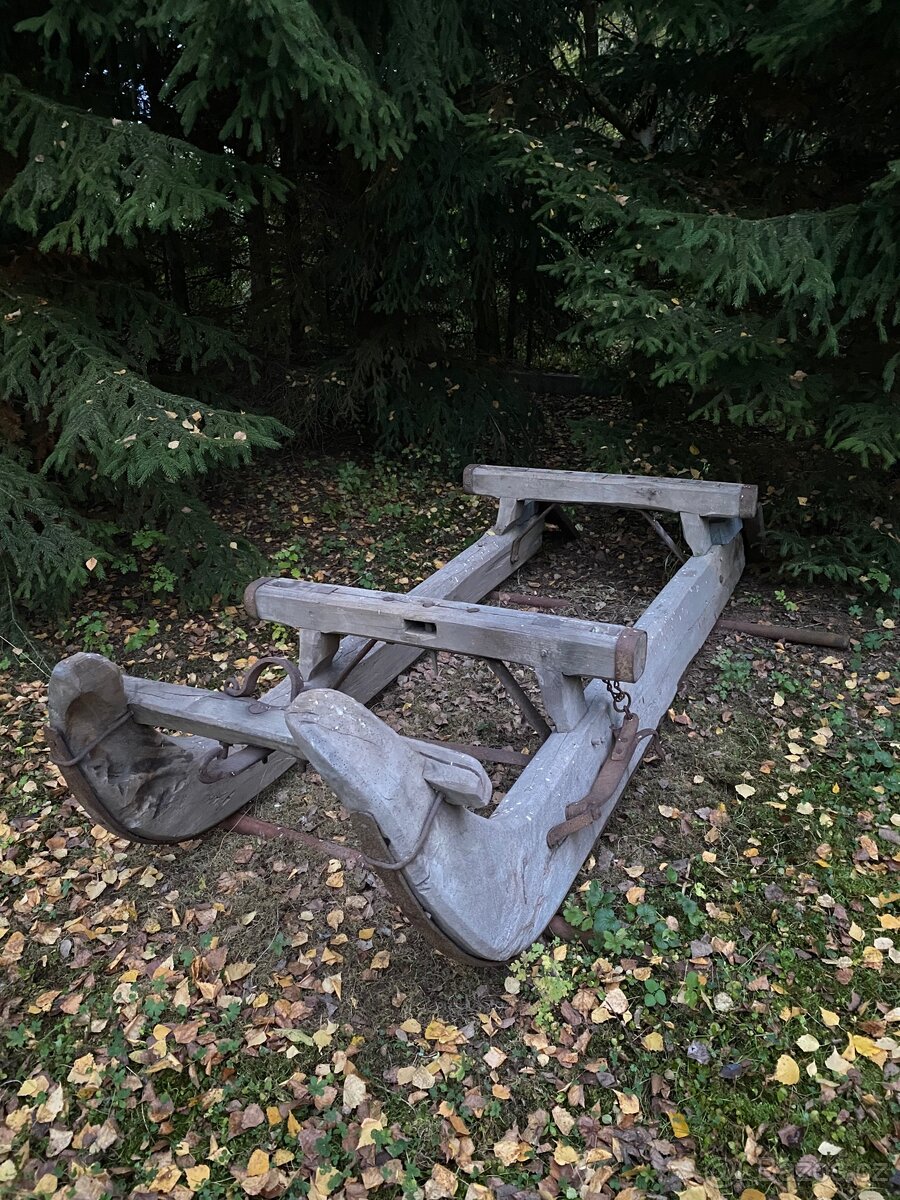 saně za koně