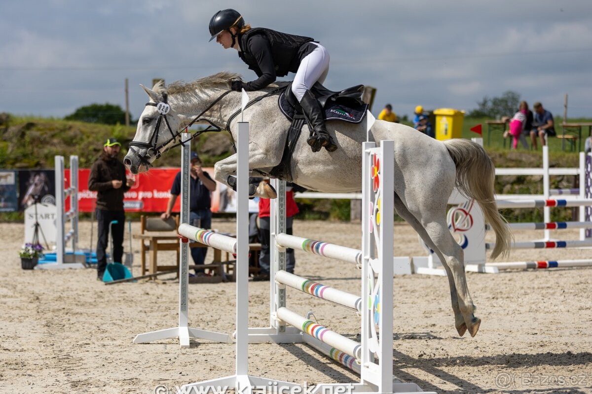 PONY TYP B NA PRODEJ