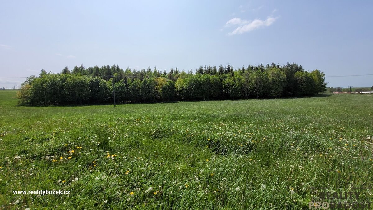 Prodej pozemku Moravský Beroun