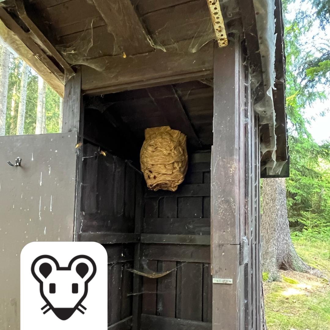 🐀 Deratizace, Dezinsekce, Dezinfekce, Ochrana proti ptactvu