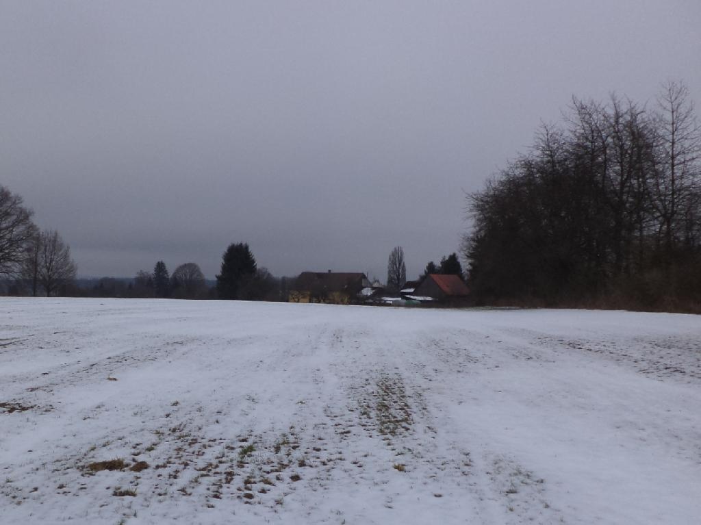 1,56 ha Horní Ves, Mariánské Lázně Cheb