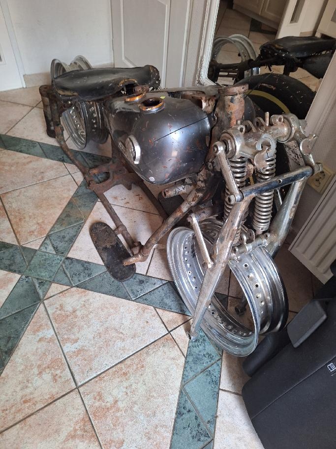 Dily Indian 1200