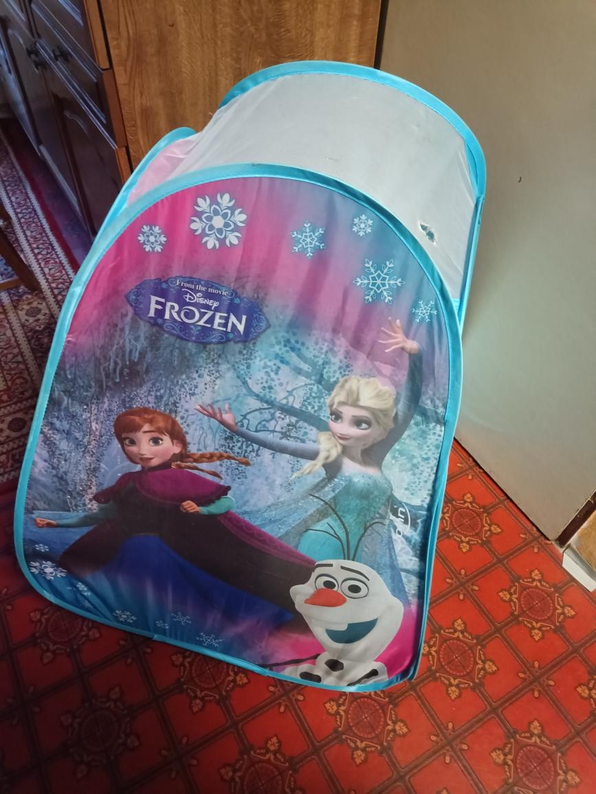 Stan Disney FROZEN
