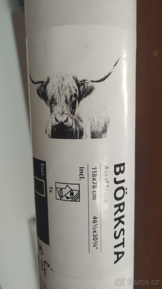 Obraz Ikea