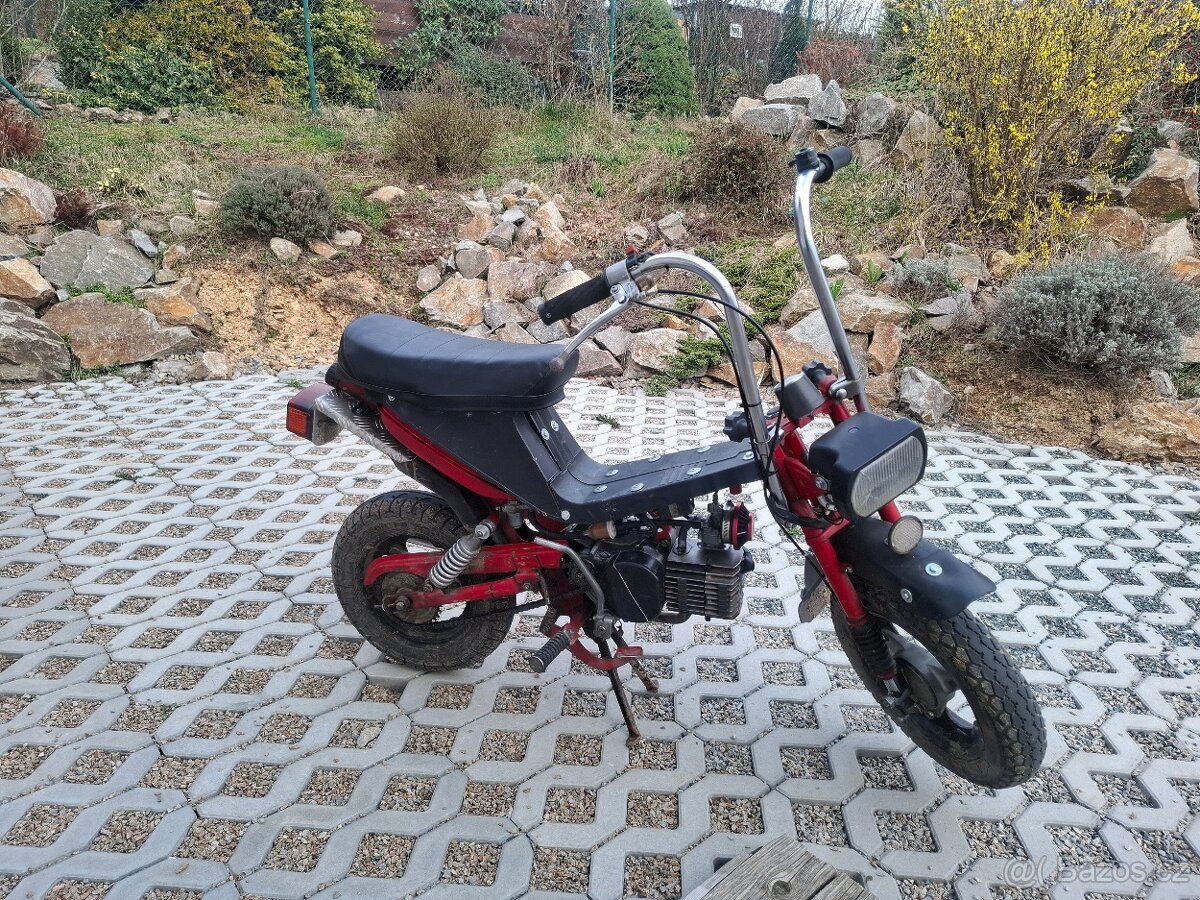 Jawa stella