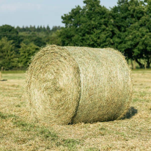 Balíky sena letošní seč