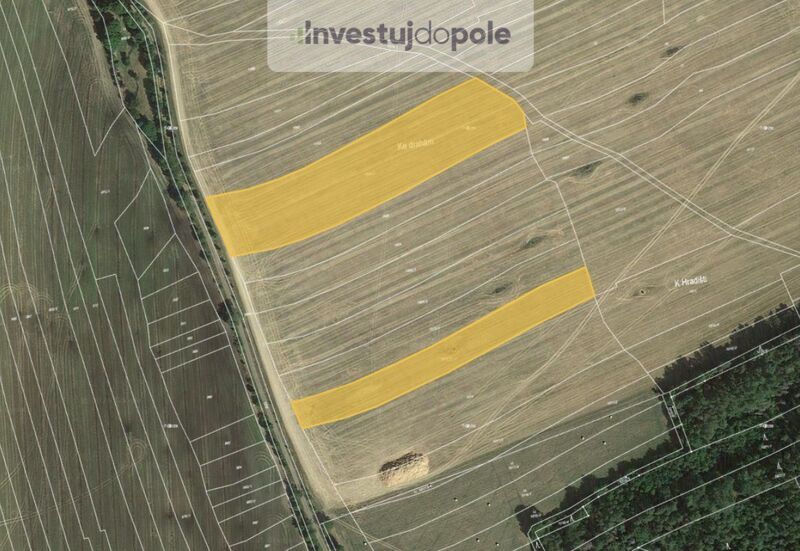 Prodej pole v k.ú. Hříchovice