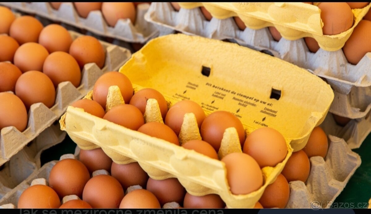 Domácí vejce