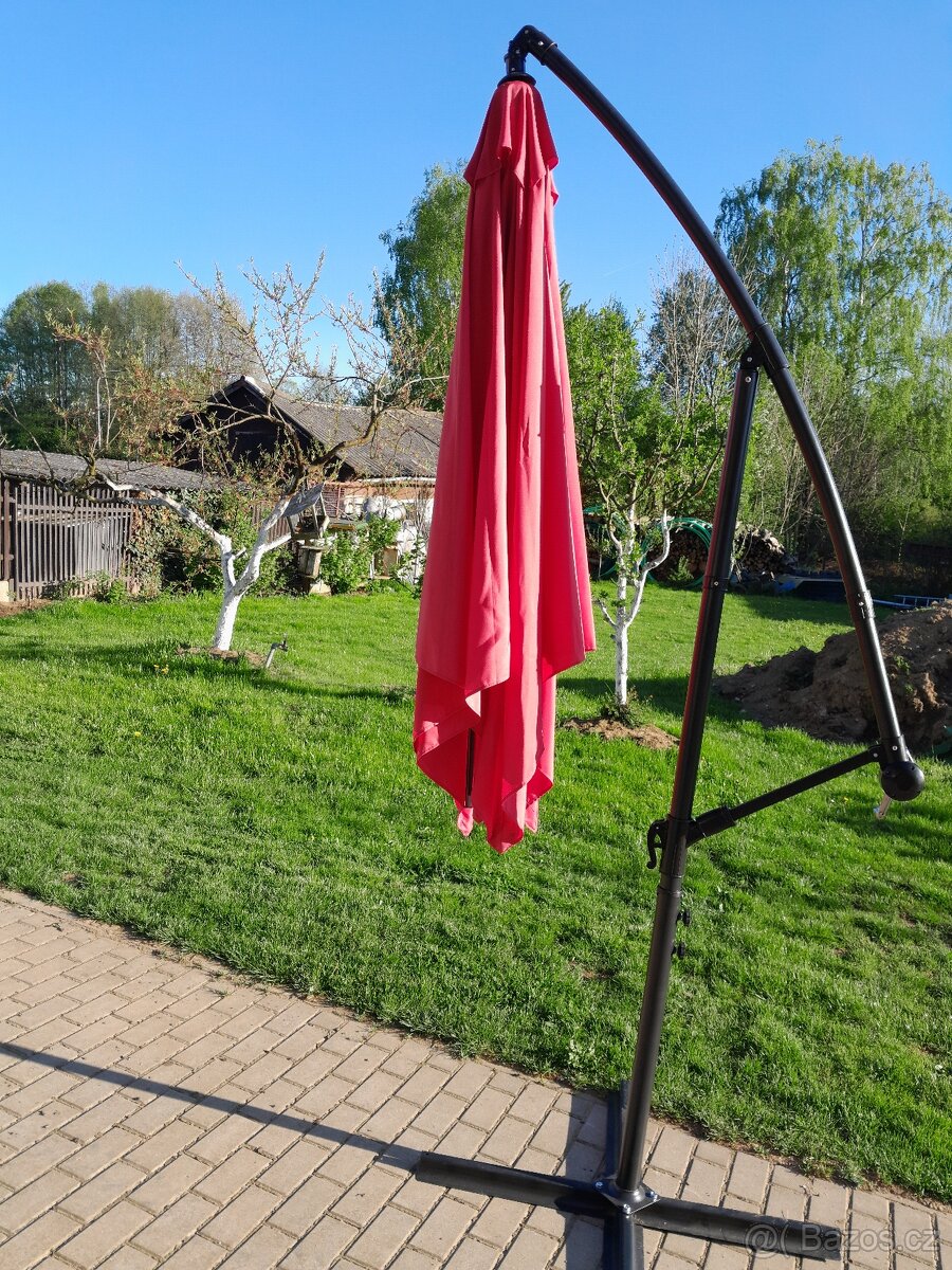 Slunečník