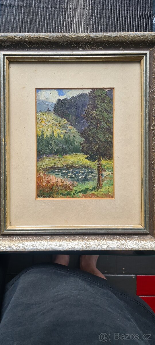 Adolf Hajduček . Jezírko na Visalajích