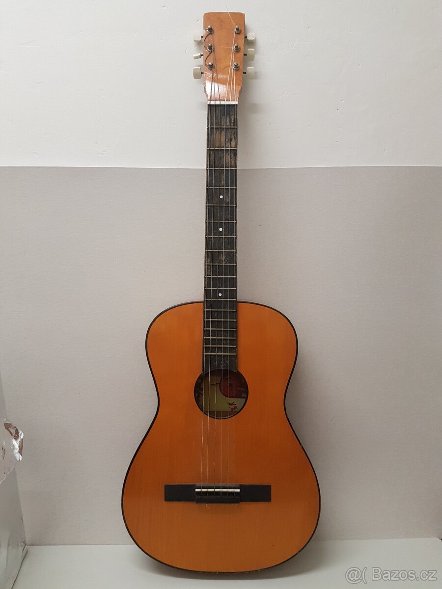 Akustická kytara
