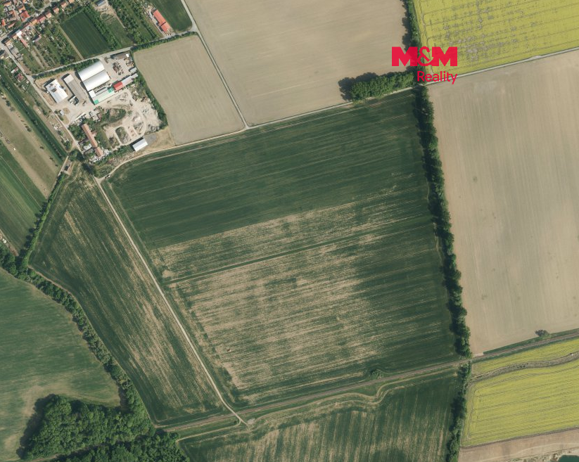 Prodej pole, 18317 m², Bílany