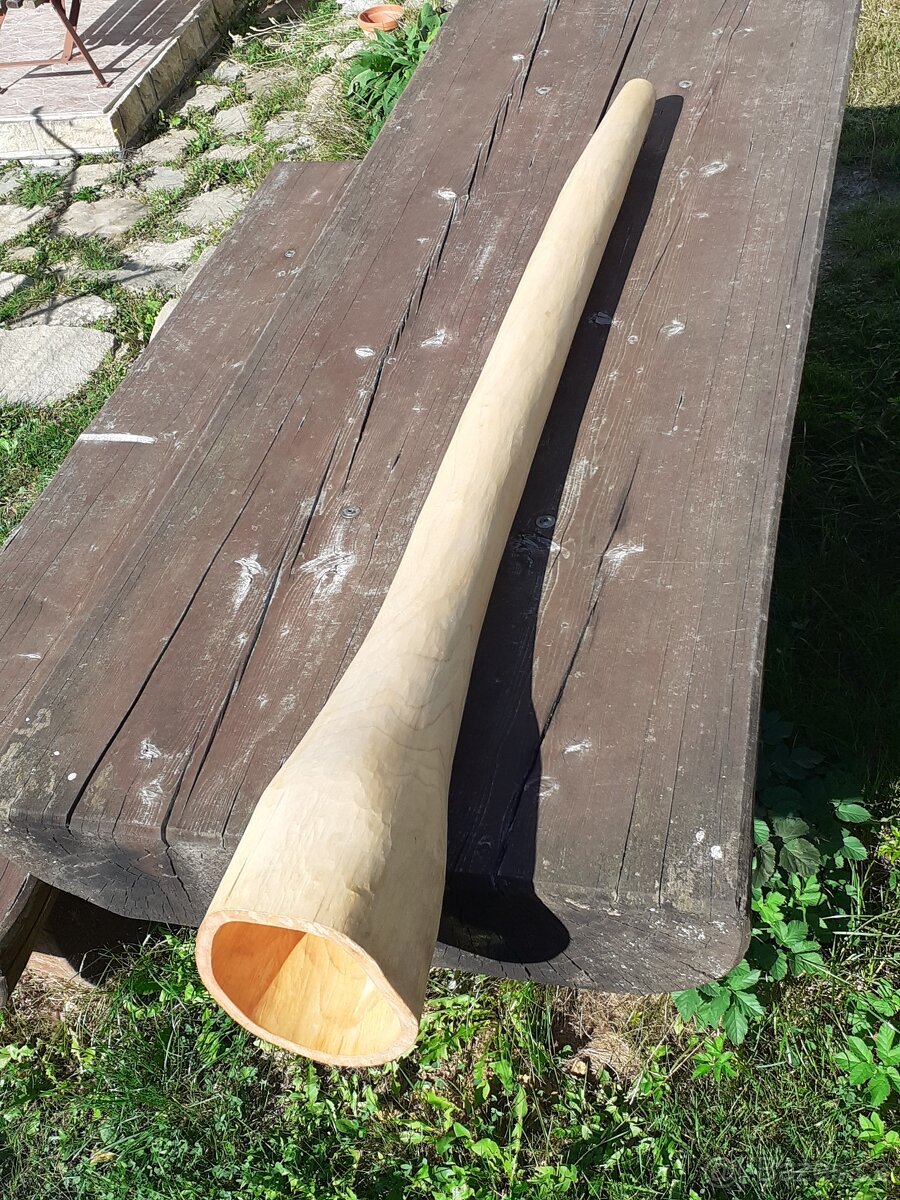 Didgeridoo 079
