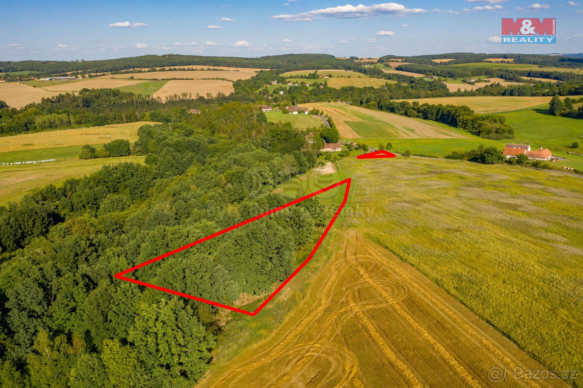 Prodej louky, 6183 m², Albrechtice nad Vltavou