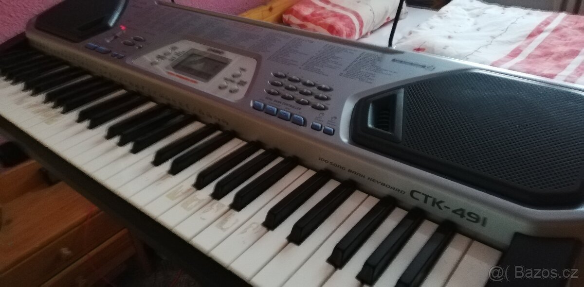 Casio CTK 491
