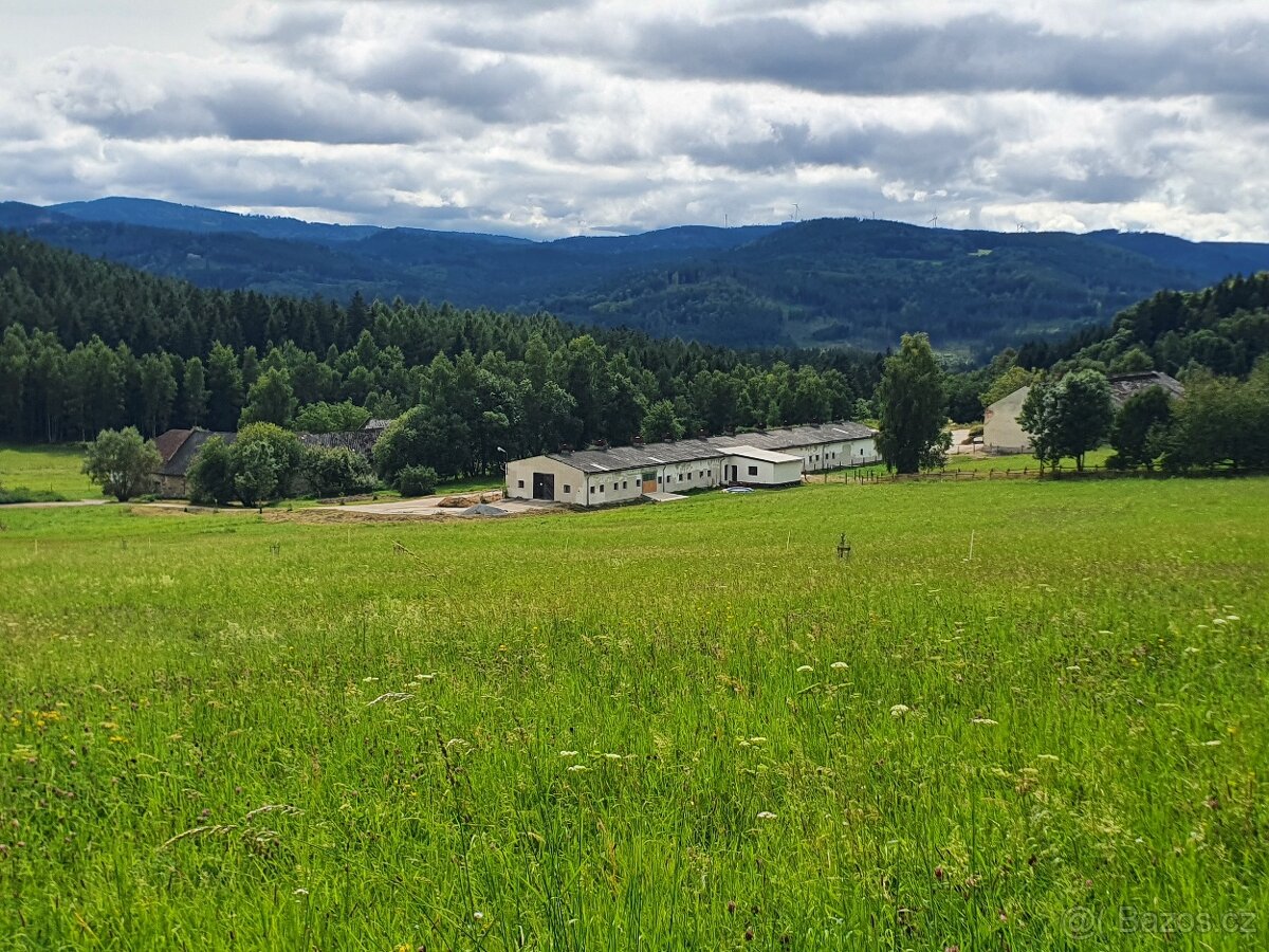 Ustájení mladých koní