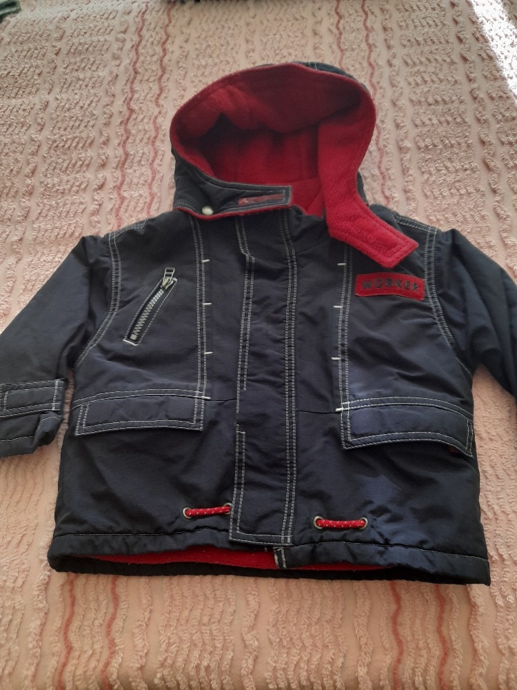 Bundička vel 1,5 až 2 roky