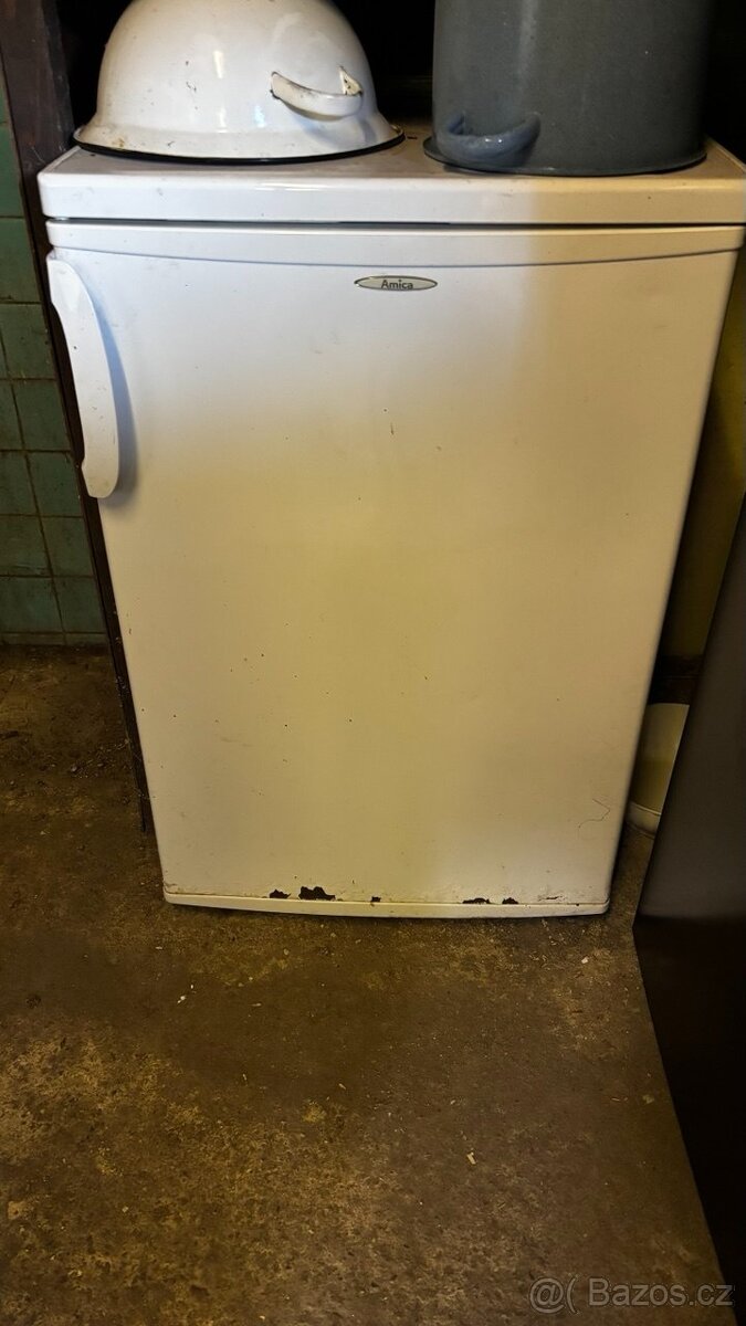 Mrazák Amica
